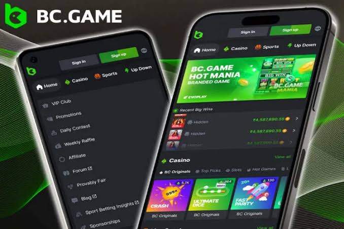 Exploring BC.Game Your Gateway to Online Gaming